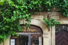 Bamberg6