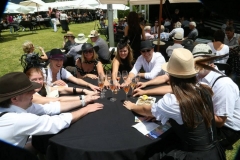 Franshoek_Champagne_Festival_002