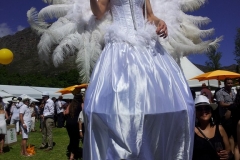 Franshoek_Champagne_Festival_008