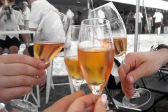 Franshoek_Champagne_Festival_012