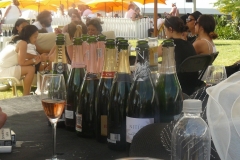 Franshoek_Champagne_Festival_015