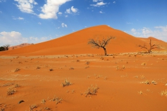 reise_pioniere_namibia_069