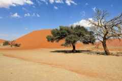 reise_pioniere_namibia_071