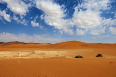 reise_pioniere_namibia_074