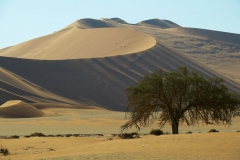 reise_pioniere_namibia_079