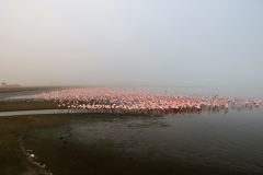 reise_pioniere_namibia_093