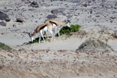 reise_pioniere_namibia_130