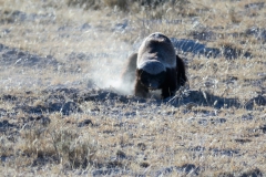 reise_pioniere_namibia_152