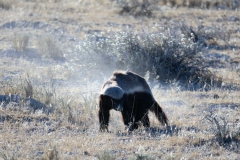 reise_pioniere_namibia_153