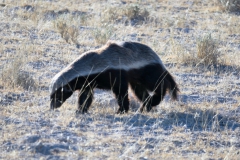 reise_pioniere_namibia_155