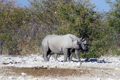 reise_pioniere_namibia_157