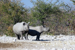 reise_pioniere_namibia_158