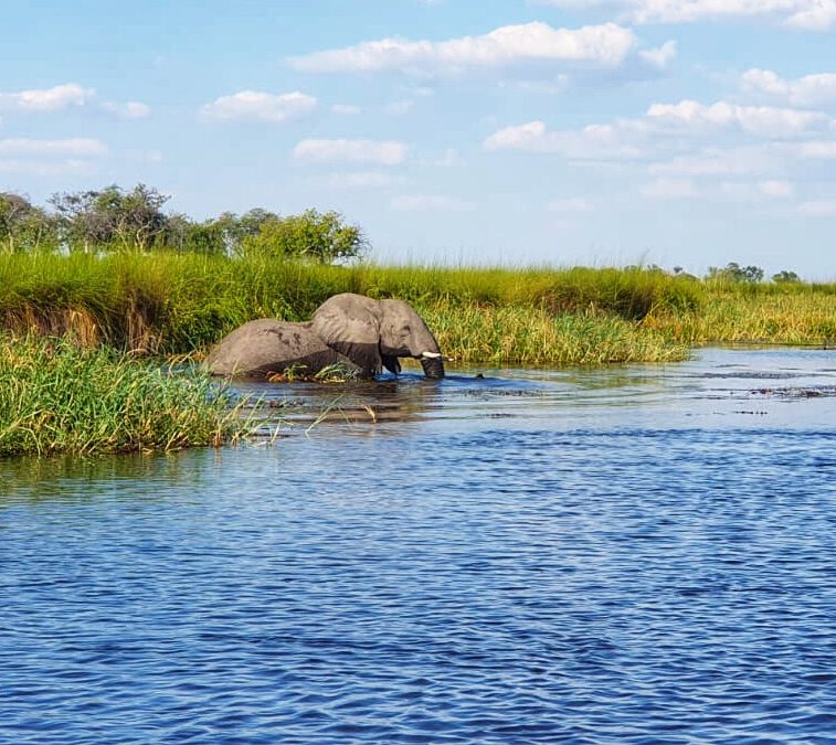 Abenteuer Botswana