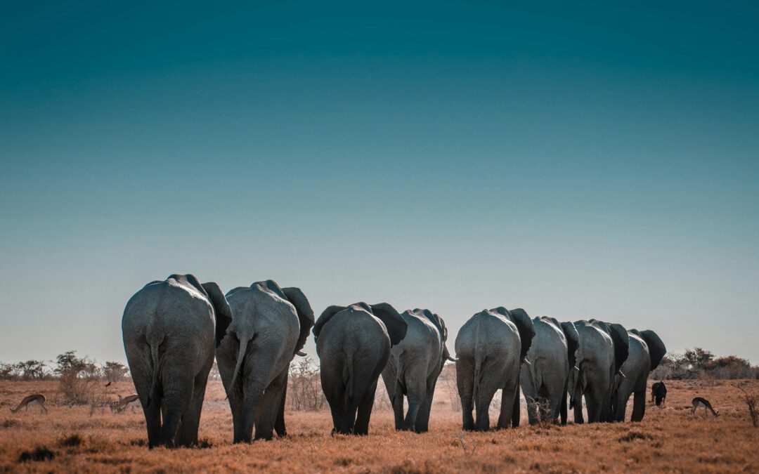 Sergi Ferrete on Unsplash